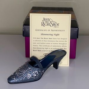 Just the Right Shoe Shimmering Night
